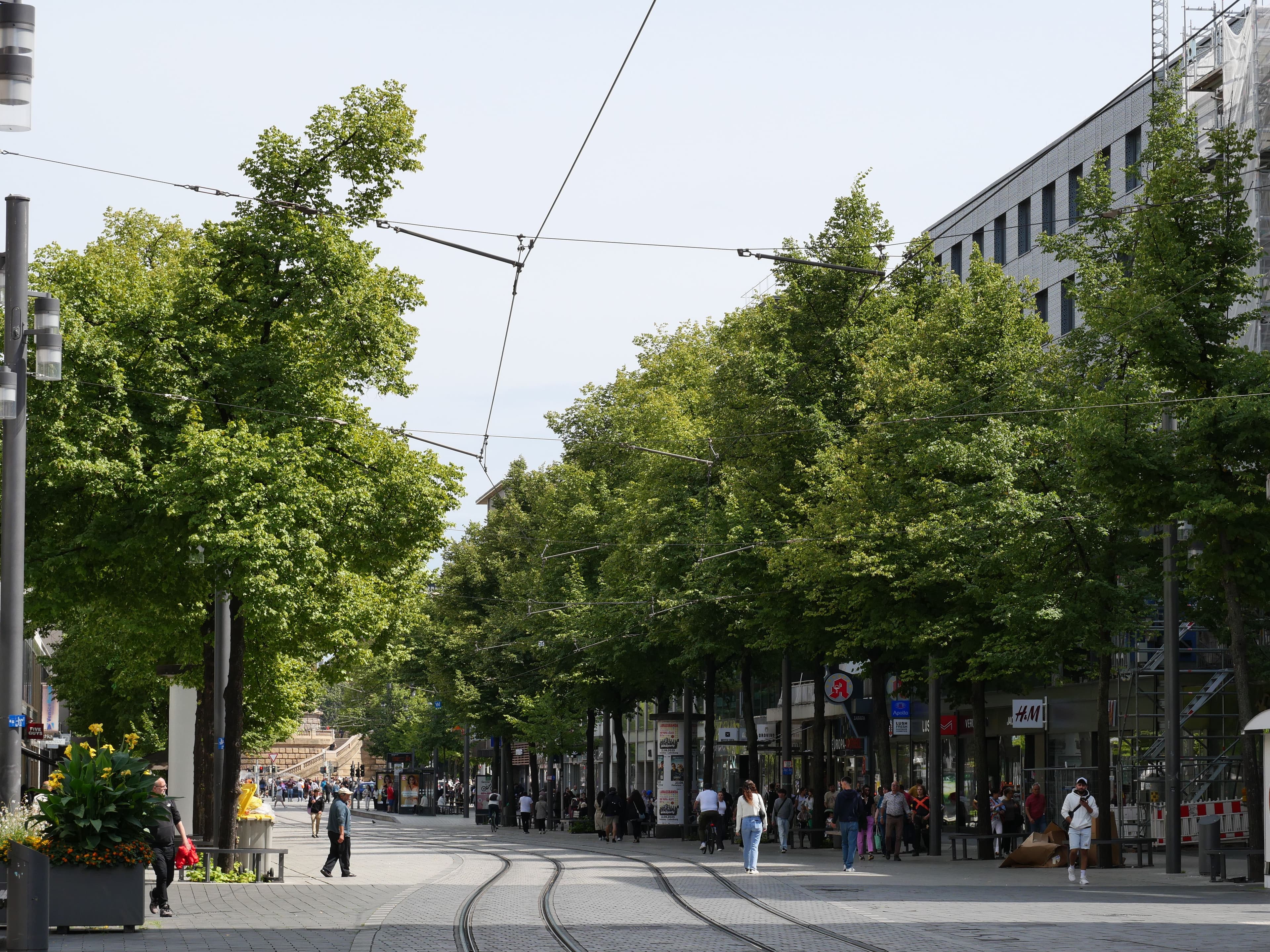 Mannheim